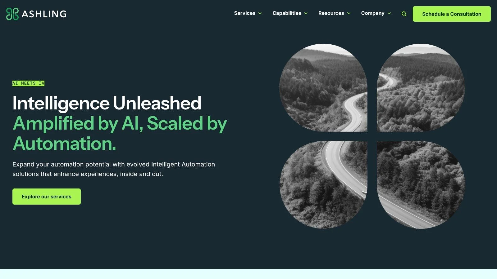 Ashling Partners (Intelligent Automation Specialist)